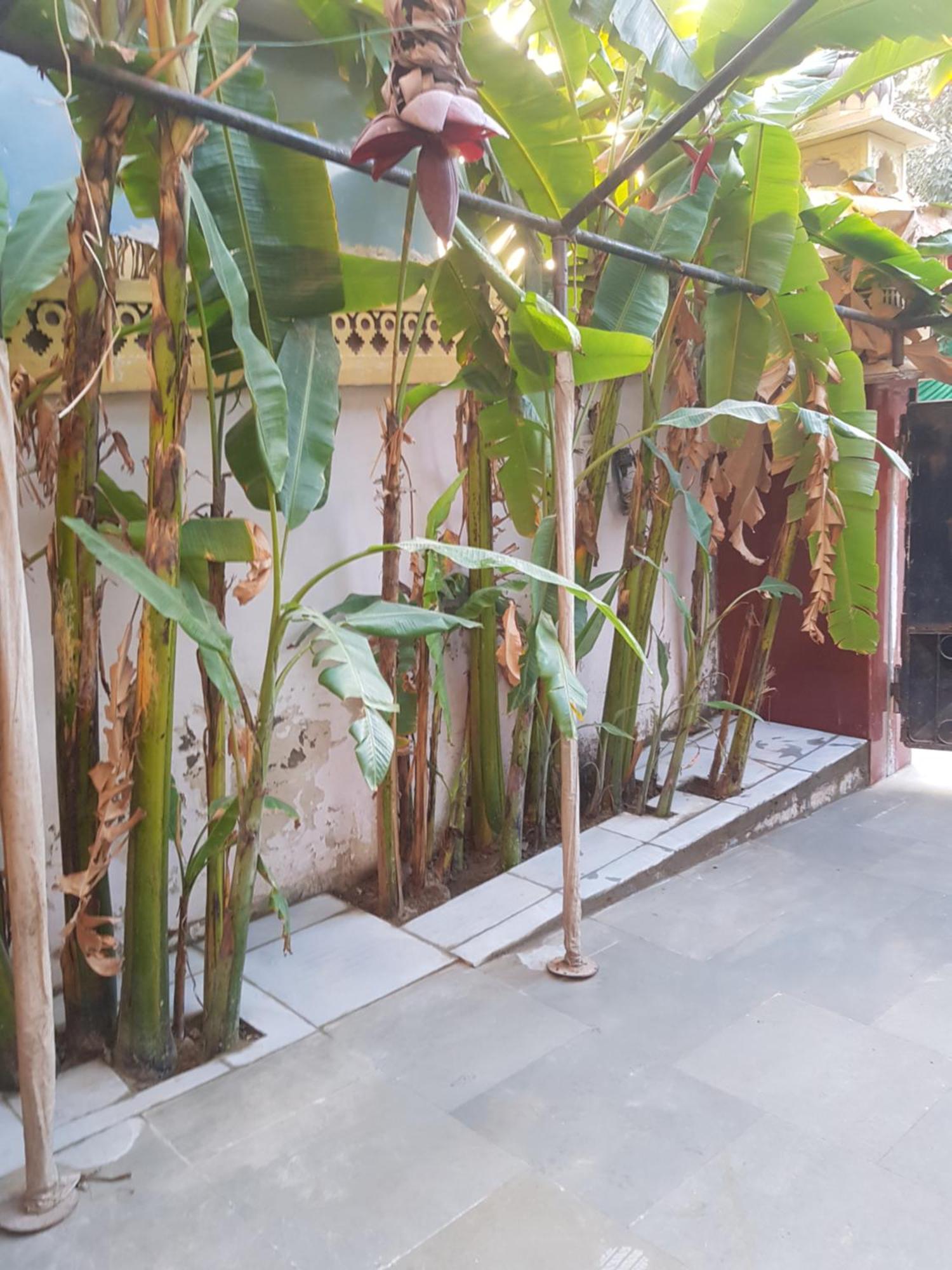 Apartamento Sureli Haveli Jaipur Habitación foto